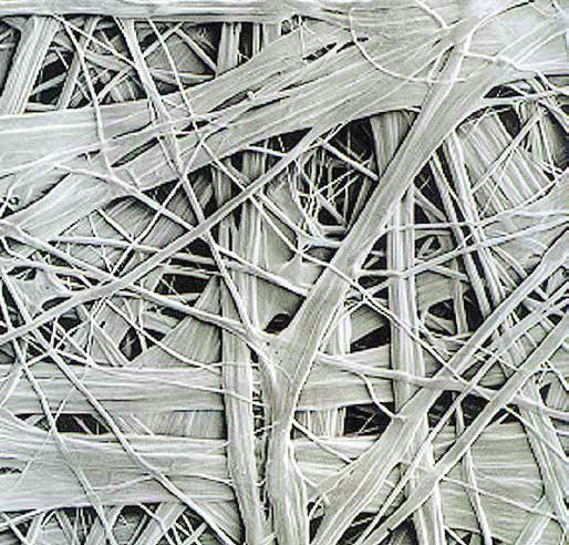 防水透氣膜高倍顯微鏡下的纖維結構