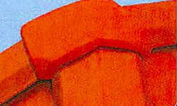 杰出的外觀穩定性